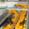 자동 산업 오렌지 밀감속 주스 생산 라인